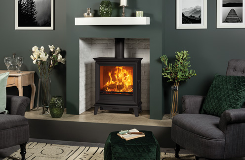 Multi Fuel Stove 2
